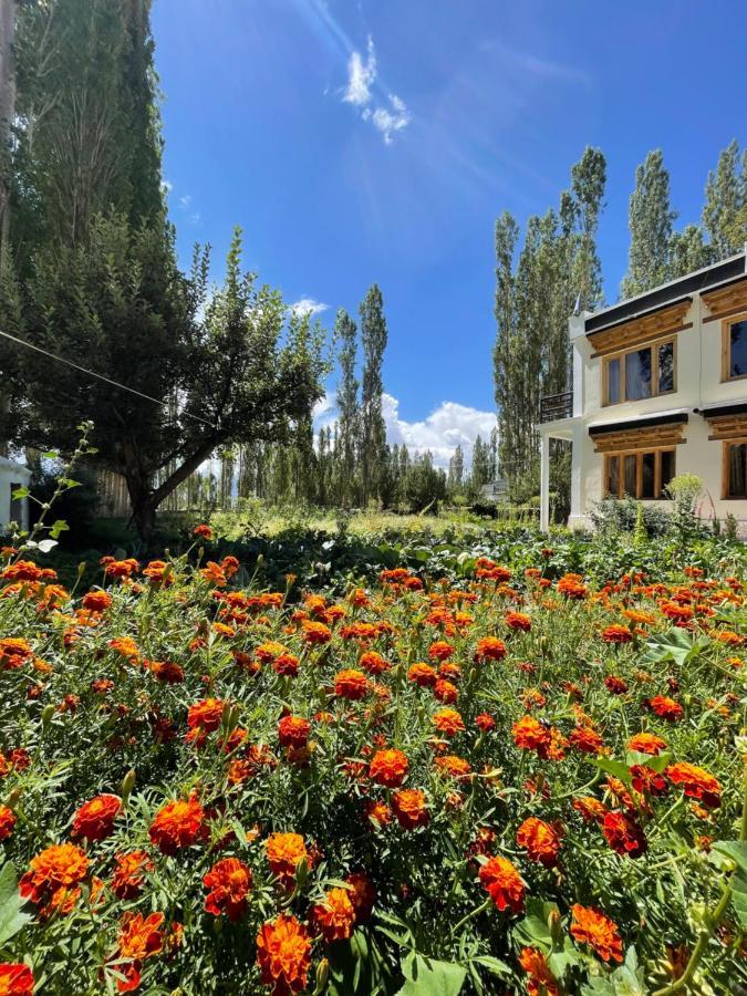 Tongspon Inn Leh Extérieur photo